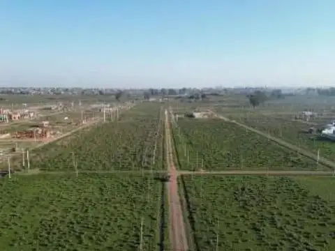 Terreno en Venta 20  mts Fondo