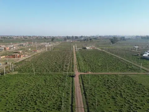 Finca Altos del Plata - 602 y 22