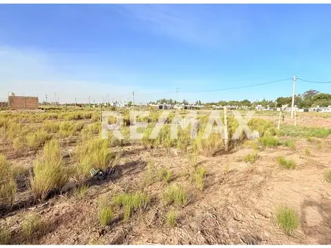 Terreno en Venta en Cipolletti, USD 15.000