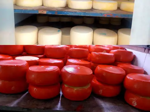 Venta de llave Distribuidora de quesos en Malvin