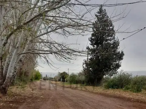 B° Viñedos de Beltrán 100, Piso 0