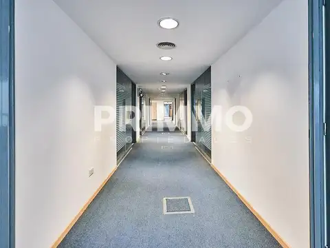 Oficina en Alquiler 13 años