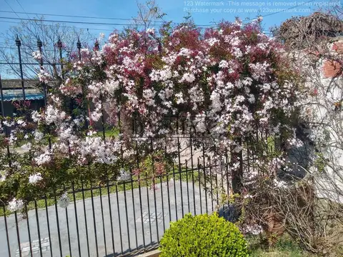 Casa En Calle Sarmiento