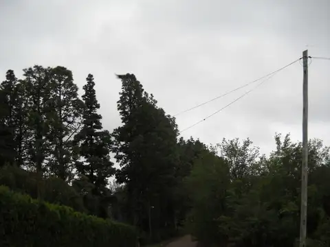 Terreno en Venta de 119000,0 m2