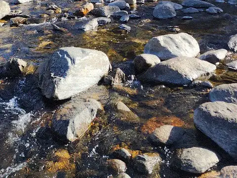 Campo en Venta de 6,60  ha