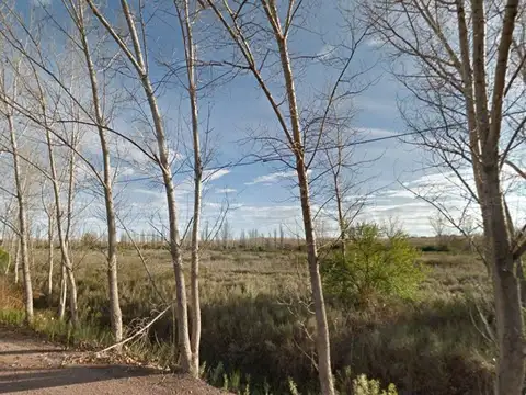 Terreno en Venta de 7925,0 m2