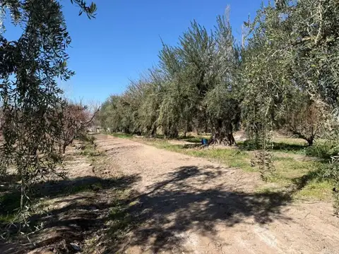 bruno moron 2000 , Piso 0