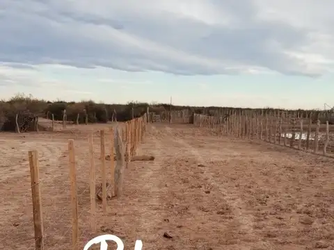 La Pampa - 25 de Mayo -