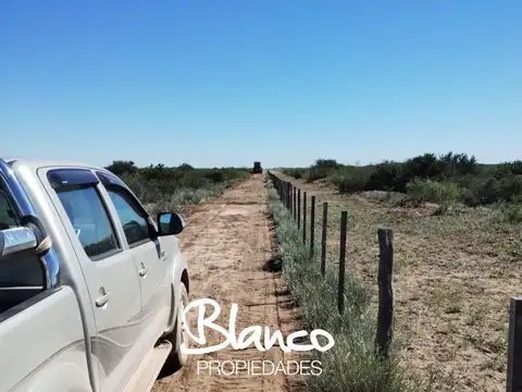 Terreno Campo  en Venta en 25 De Mayo, Puelen, La Pampa