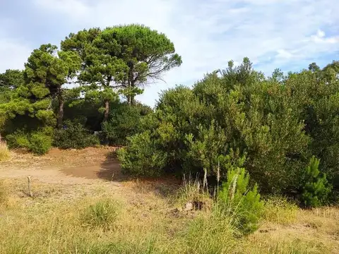 Terreno en Venta de 2801,0 m2