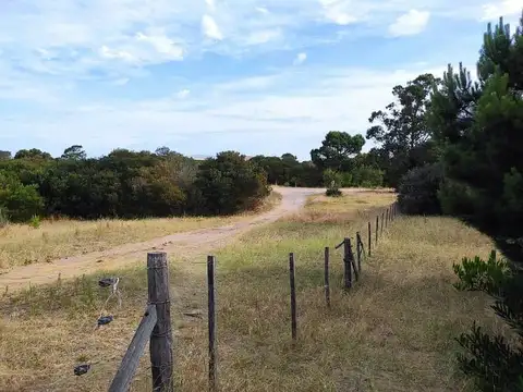 Terreno en Venta 10  mts Fondo