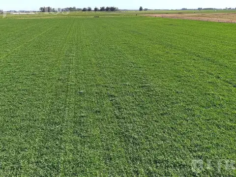 Campo en La Pastora, Tandil