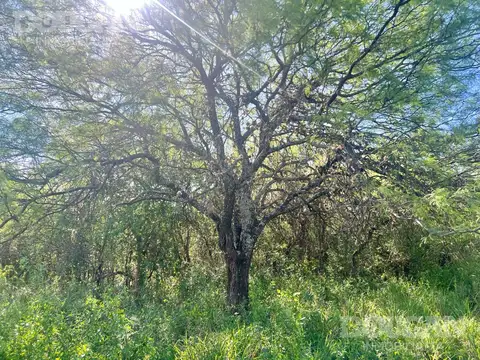 Terreno en Venta 21  mts Frente