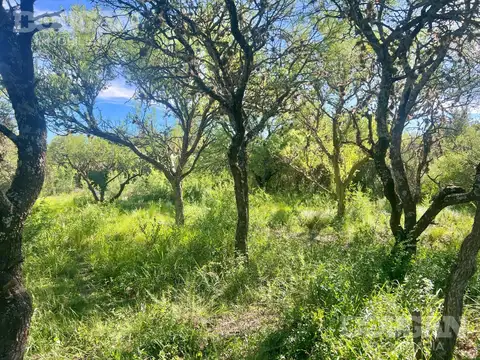 Terreno en Venta de 1542,0 m2