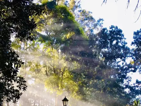 Campo en alquiler - 14 Dormitorios 4 Baños - 50.000Mts2 - Tristán Suarez