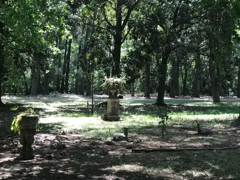 Roque Sáenz Peña y Falucho