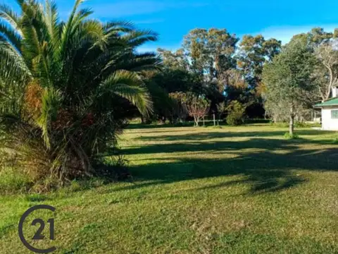 Excelente Campo 12 hectáreas próximo a San Antonio de Areco