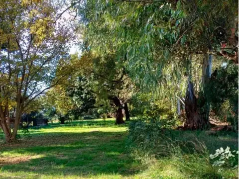 Excelente Campo 12 hectáreas próximo a San Antonio de Areco