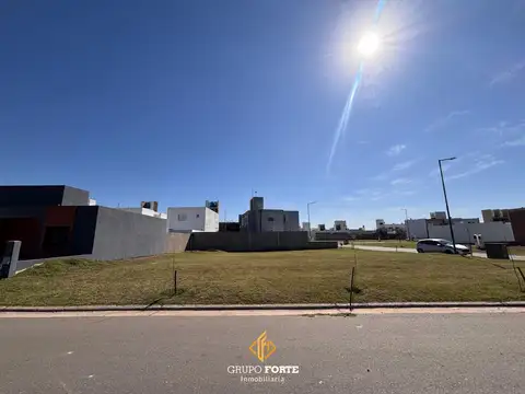 Lote En San Ignacio Village 150