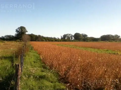 Venta Chacra 4500m2 en  Mercedes, Buenos Aires