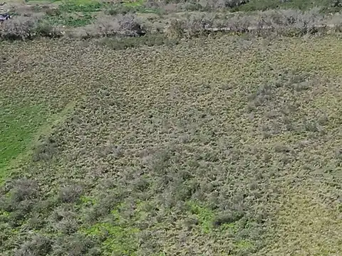 Terreno en Venta en Zarate, USD 25.000