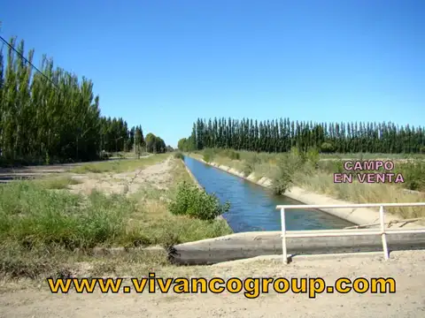 Terreno en Venta 250  mts Fondo