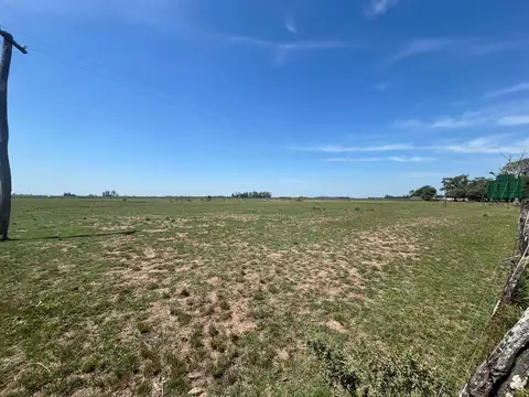 CAMPO EN VENTA EN VILLA DAFONTE