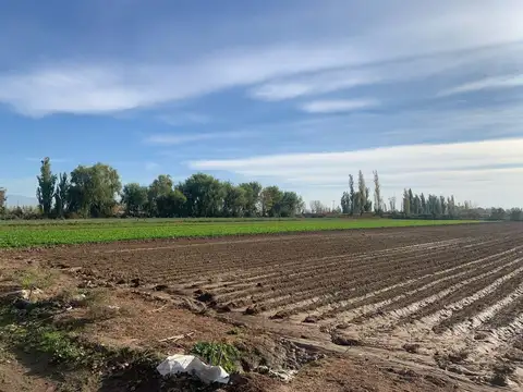 FINCA EN VENTA CORRALITOS, EN PRODUCCION