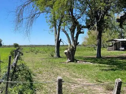 Chacra Sobre Ruta 20 Gualeguaychu!