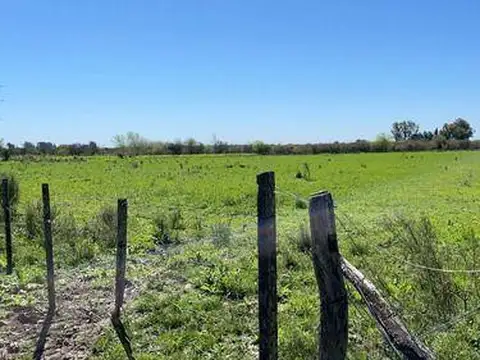 Chacra Sobre Ruta 20 Gualeguaychu!