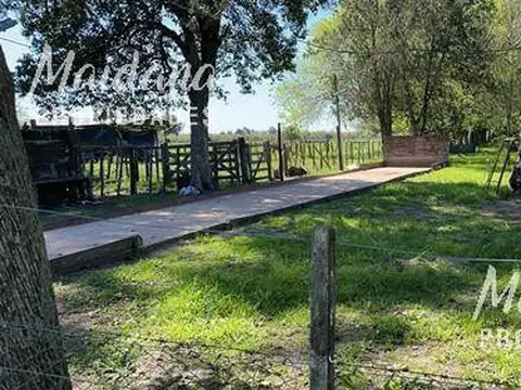 Chacra Sobre Ruta 20 Gualeguaychu!