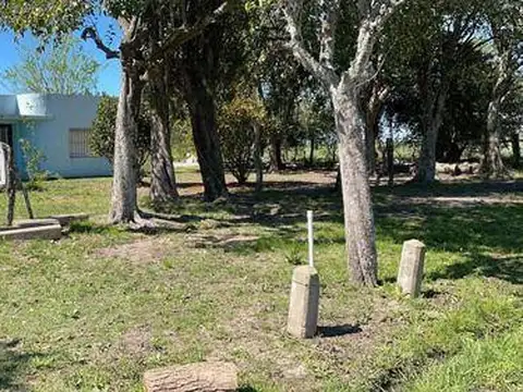 Chacra Sobre Ruta 20 Gualeguaychu!