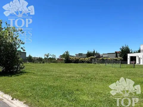 Terreno en Venta 40  mts Frente