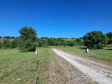 Terreno en Venta 40  mts Fondo