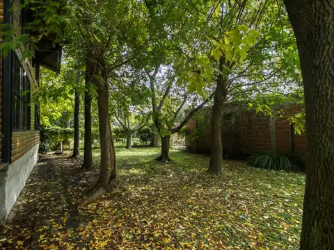 423 entre 18 y 21a 1700, Piso 0