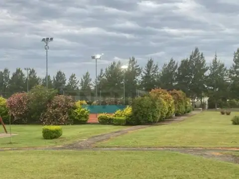 Terreno en Venta 42  mts Frente