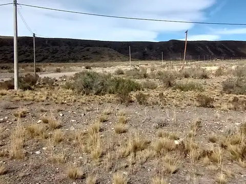 Ruta a Vallecitos y Camino Los Corrales s/n