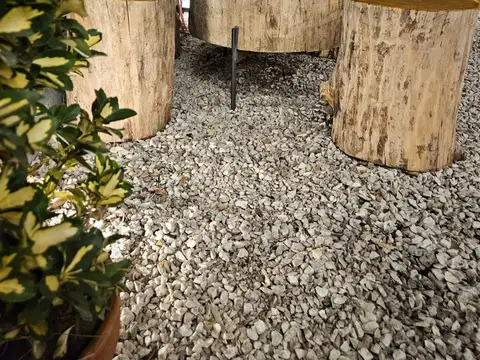 Fondo Comercio en Venta 25 años