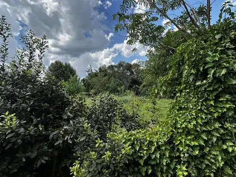 Terreno en Venta 20  mts Frente