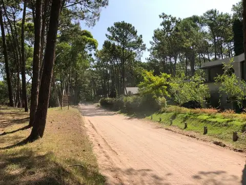 Espectacular Lote Sobre Divisadero de 3000 m² - 2000m2 o 1000m2 - Unico!