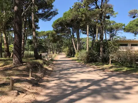 Espectacular Lote Sobre Divisadero de 3000 m² - 2000m2 o 1000m2 - Unico!