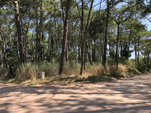 Terreno en Venta en Carilo, USD 480.000