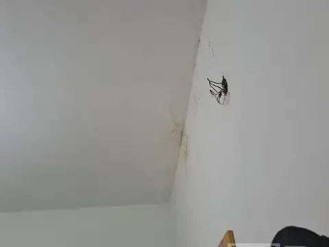 Casa 6 ambientes con 2 baños