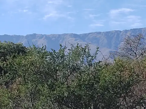 Terreno en Venta de 8000,0 m2