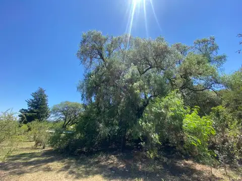 Terreno en Venta 37  mts Fondo