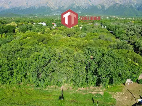 Terreno en Venta 76  mts Frente