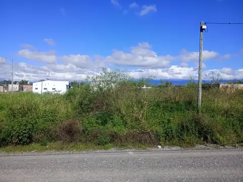 Cerrillos. La Guillermina. Mza 3. Lote 100