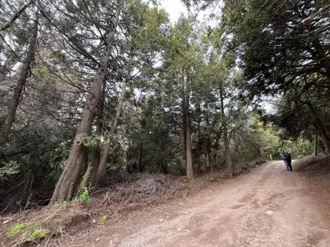 Marta Lynch y Ricardo Rojas , Piso 0