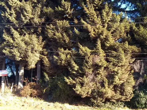 Pasaje Gutierrez 1790