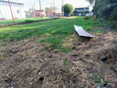 Rodolfo Borzone 2000